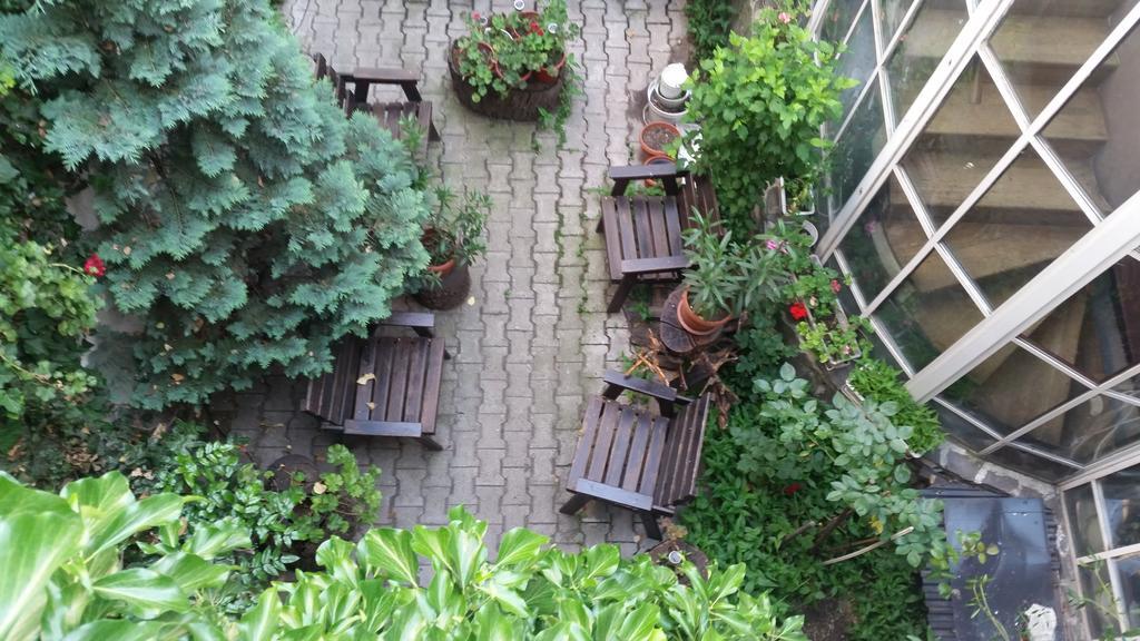 Bed and Breakfast Vila Monica Târgu-Mureş Exterior foto