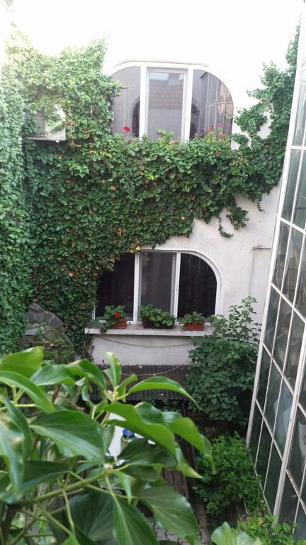 Bed and Breakfast Vila Monica Târgu-Mureş Exterior foto